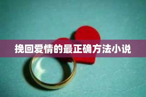 挽回爱情的最正确方法小说