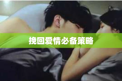 挽回爱情必备策略