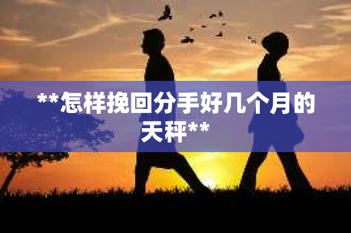 **怎样挽回分手好几个月的天秤**