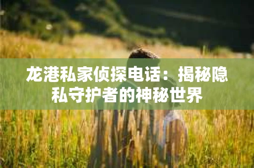 龙港私家侦探电话：揭秘隐私守护者的神秘世界