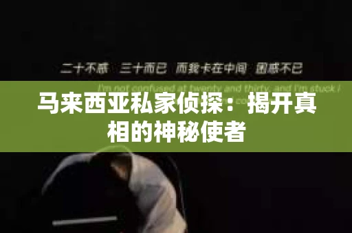 马来西亚私家侦探：揭开真相的神秘使者