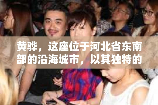 黄骅，这座位于河北省东南部的沿海城市，以其独特的地理位置和丰富的历史文化而闻名。然而，在这座城市中，还有一群人，他们以另一种方式默默守护着社会的公平与正义——私家侦探。今天，我们就来聊聊黄骅的私家侦探，看看他们是如何在这个城市中发挥作用的。