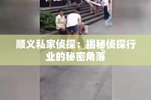 顺义私家侦探：揭秘侦探行业的秘密角落