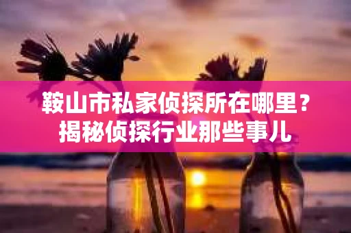 鞍山市私家侦探所在哪里？揭秘侦探行业那些事儿