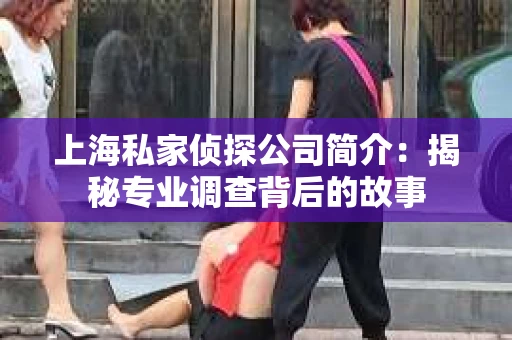 上海私家侦探公司简介：揭秘专业调查背后的故事