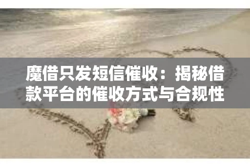 魔借只发短信催收：揭秘借款平台的催收方式与合规性
