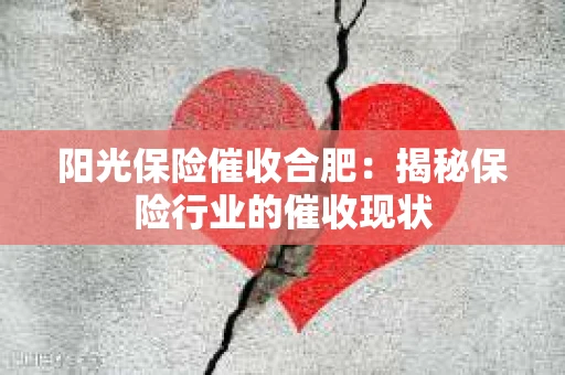 阳光保险催收合肥：揭秘保险行业的催收现状