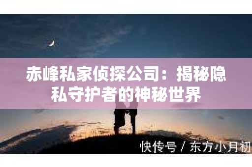 赤峰私家侦探公司：揭秘隐私守护者的神秘世界