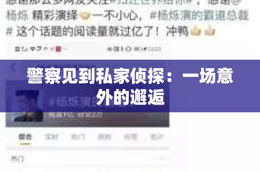 警察见到私家侦探：一场意外的邂逅
