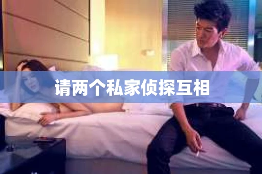 请两个私家侦探互相