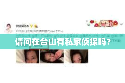 请问在台山有私家侦探吗？