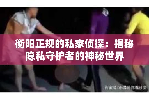 衡阳正规的私家侦探：揭秘隐私守护者的神秘世界