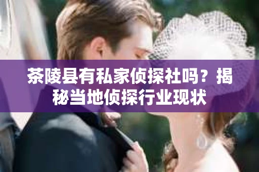 茶陵县有私家侦探社吗？揭秘当地侦探行业现状