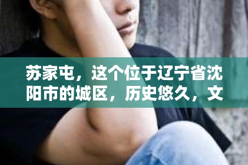 苏家屯，这个位于辽宁省沈阳市的城区，历史悠久，文化底蕴深厚。近年来，随着社会的发展，人们对于私家侦探的需求也逐渐增加。那么，苏家屯有私家侦探吗？今天，我们就来聊聊这个话题。