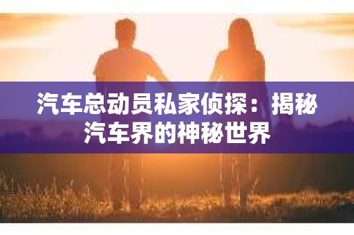 汽车总动员私家侦探：揭秘汽车界的神秘世界