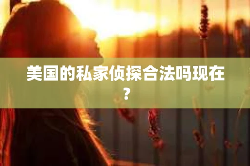 美国的私家侦探合法吗现在？