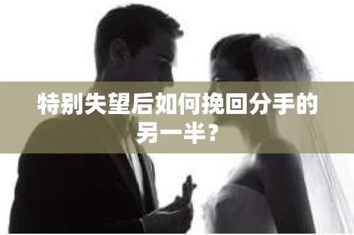 特别失望后如何挽回分手的另一半？