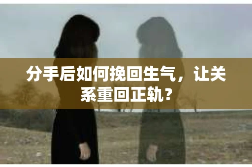 分手后如何挽回生气，让关系重回正轨？