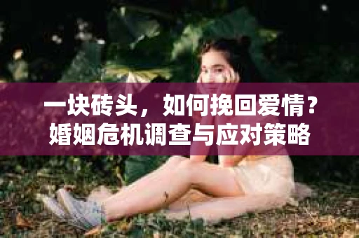 一块砖头，如何挽回爱情？婚姻危机调查与应对策略