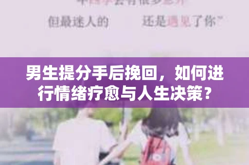 男生提分手后挽回，如何进行情绪疗愈与人生决策？