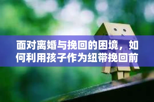 面对离婚与挽回的困境，如何利用孩子作为纽带挽回前夫的技巧？