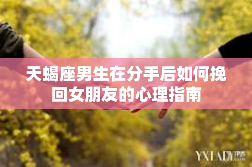 天蝎座男生在分手后如何挽回女朋友的心理指南