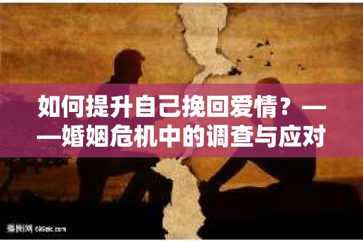 如何提升自己挽回爱情？——婚姻危机中的调查与应对策略