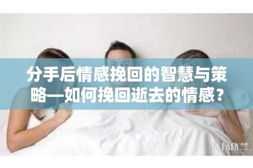 分手后情感挽回的智慧与策略—如何挽回逝去的情感？