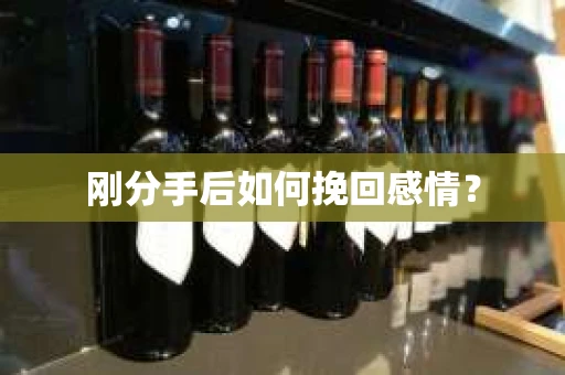 刚分手后如何挽回感情？